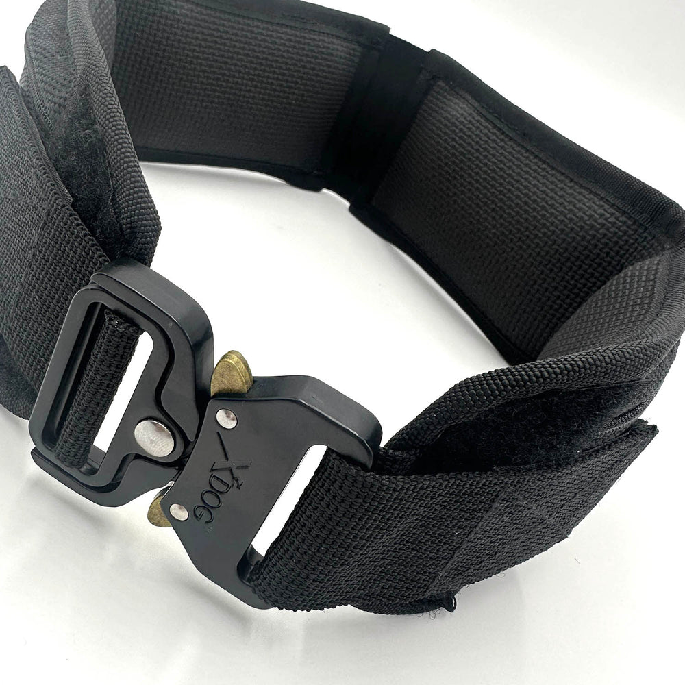 
                  
                    FIT COLLAR, Weighted Collar for Dogs
                  
                